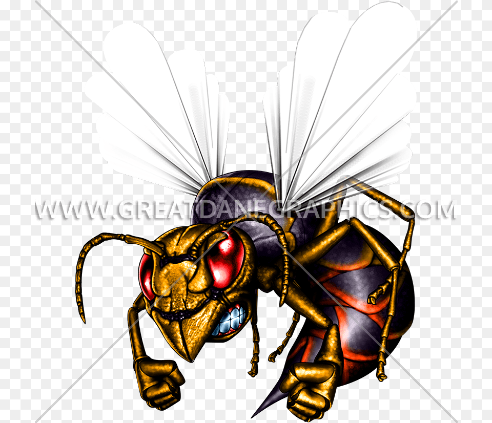 Hornet Clipart Killer Bee Hornets Art, Animal, Insect, Invertebrate, Wasp Free Png