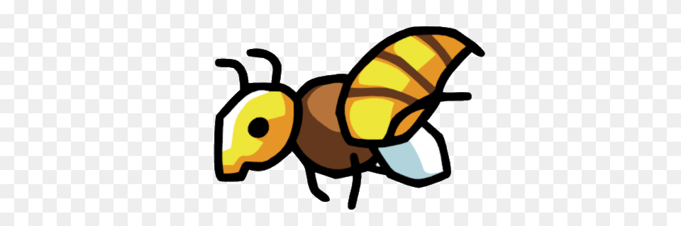 Hornet Image, Animal, Bee, Honey Bee, Insect Free Png