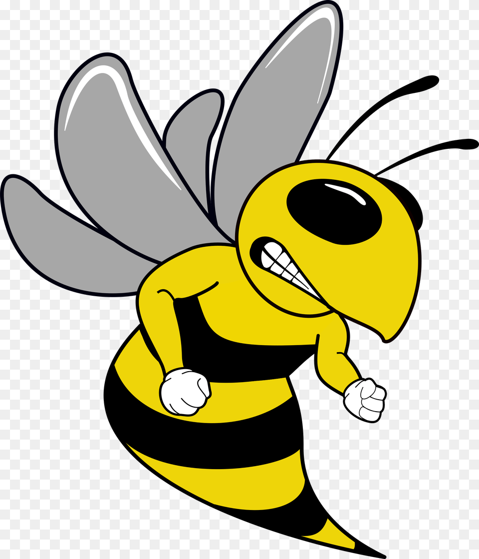 Hornet Mascot Bee Mascot Cartoon, Animal, Insect, Invertebrate, Wasp Free Transparent Png