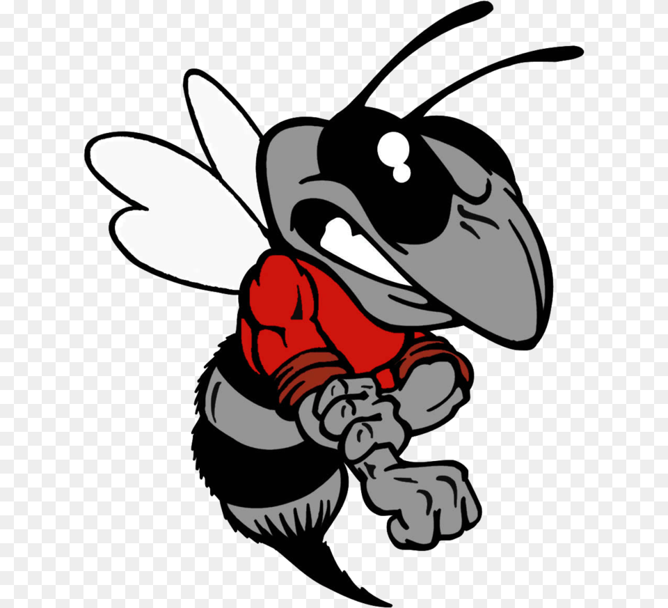 Hornet Mascot Clipart Hancock County High School Hornets, Animal, Bee, Insect, Invertebrate Png