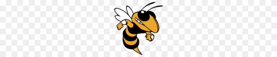 Hornet Races, Animal, Bee, Honey Bee, Insect Free Png