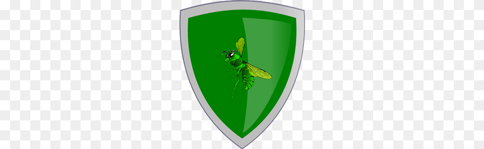 Hornet Sheild Clipart For Web, Animal, Insect, Invertebrate, Armor Png Image