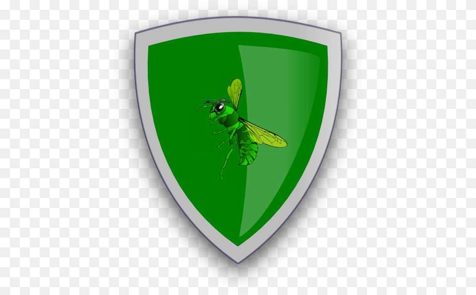Hornet Sheild Protection Shield, Armor, Animal, Insect, Invertebrate Free Transparent Png