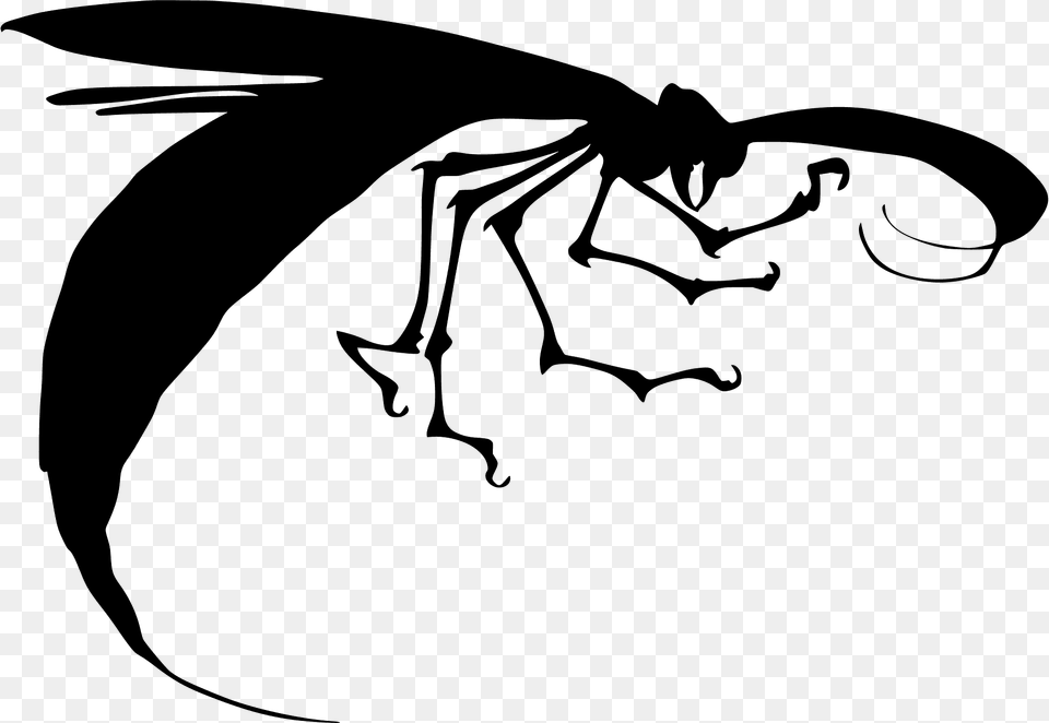 Hornet Silhouette, Animal, Bee, Insect, Invertebrate Png