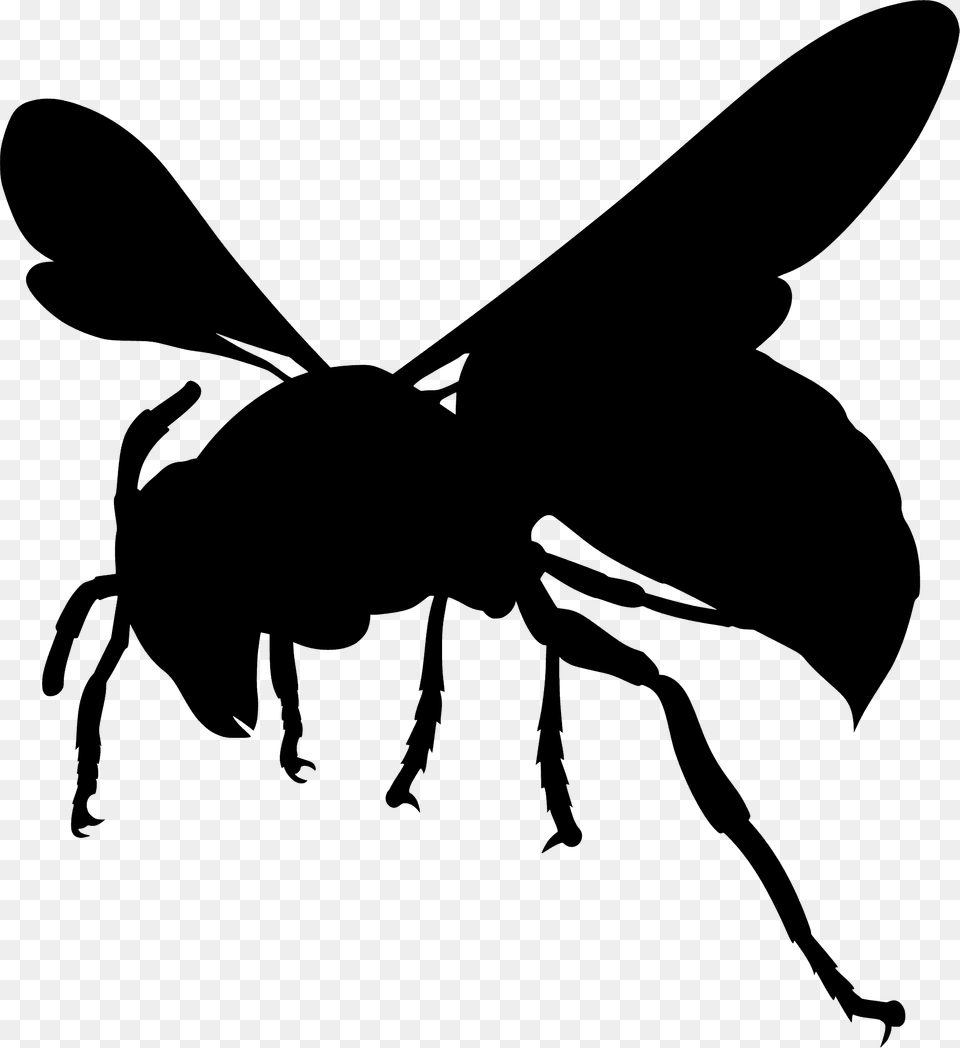 Hornet Silhouette, Animal, Bee, Insect, Invertebrate Png Image