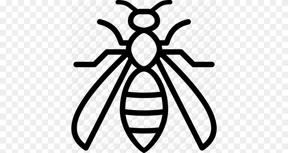 Hornet Wasp Yellow Jacket Icon, Animal, Bee, Insect, Invertebrate Free Png Download