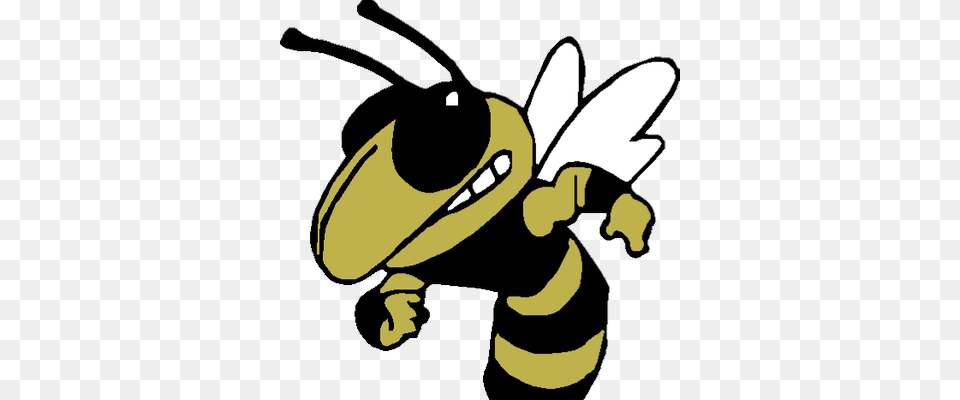Hornets Athletics, Animal, Bee, Honey Bee, Insect Free Png