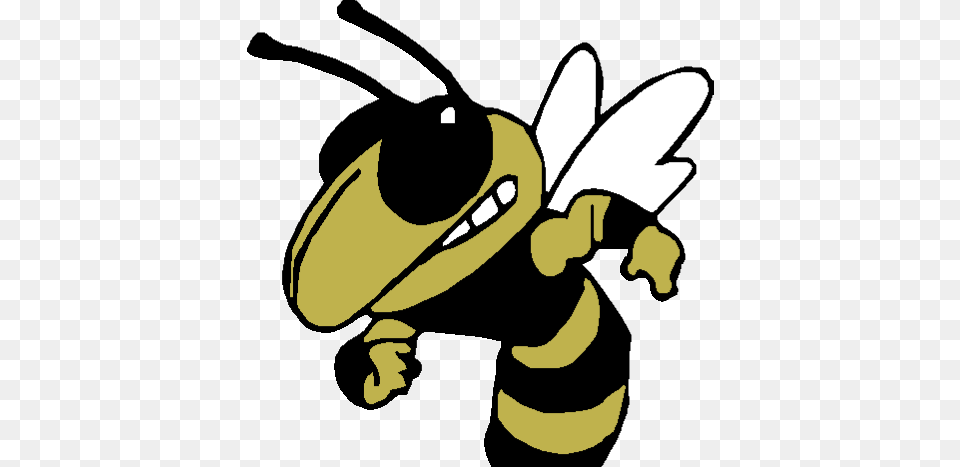 Hornets Athletics Yellow Jackets Vector, Animal, Bee, Honey Bee, Insect Png Image