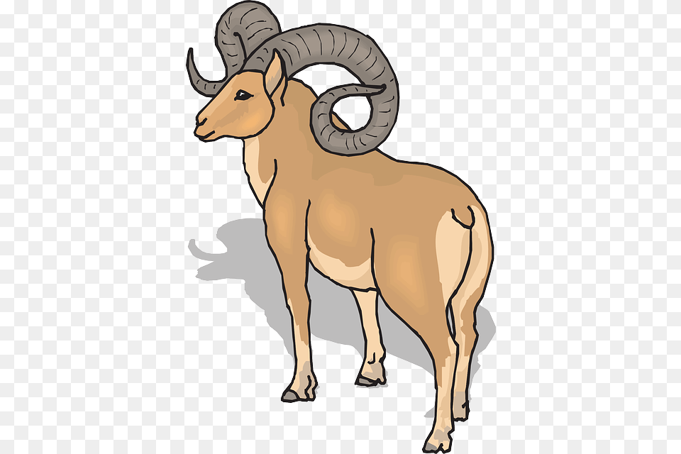 Horns Clipart Big Goat, Animal, Mammal, Livestock, Person Free Png