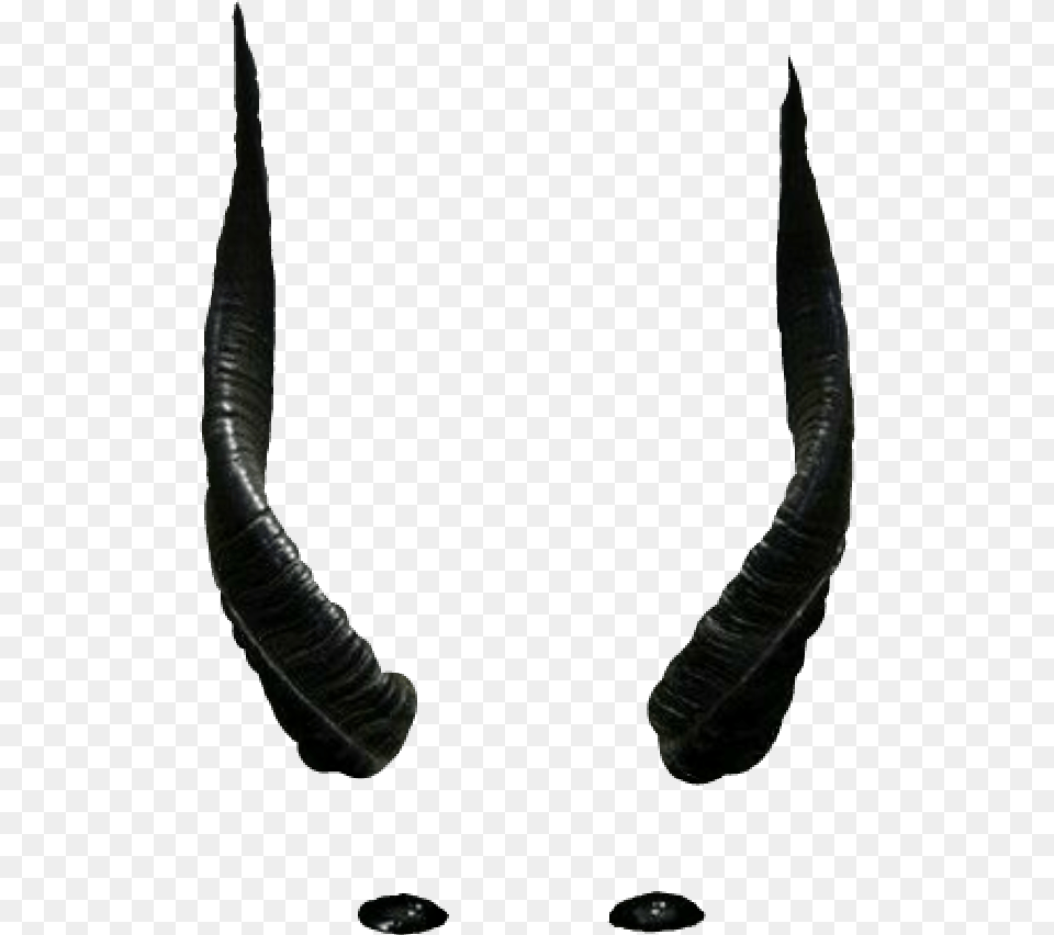 Horns Download On Mbtskoudsalg Black Devil Horns Free Transparent Png