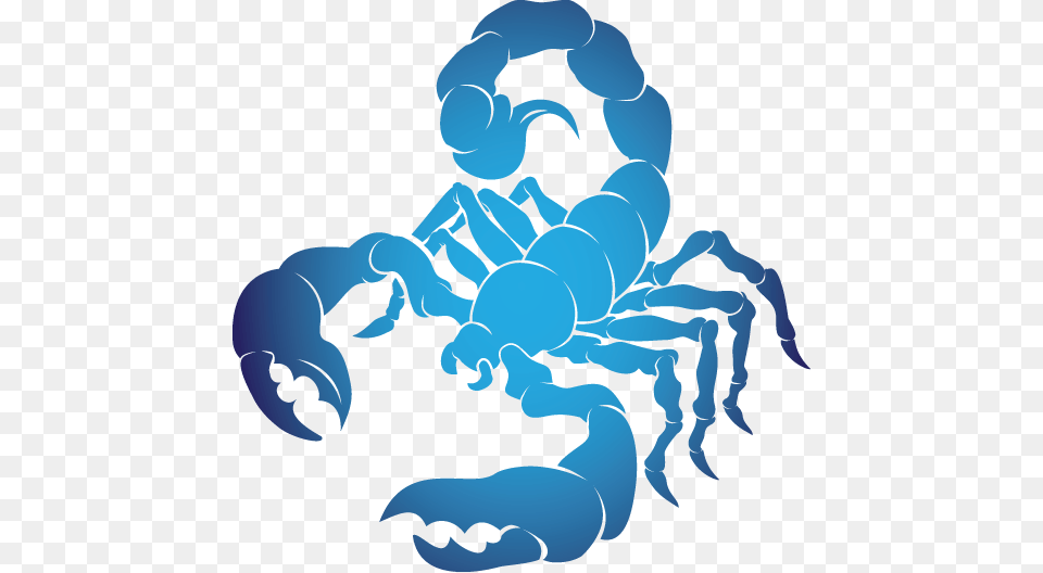 Horoscope Scorpio Sign Clipart, Baby, Person, Animal, Invertebrate Free Png Download