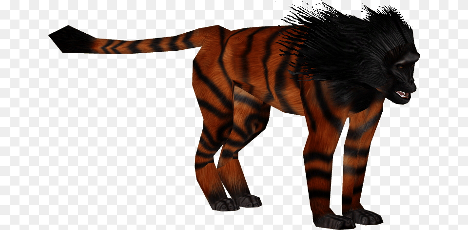 Horrane Wiki, Animal, Mammal, Tiger, Wildlife Png Image