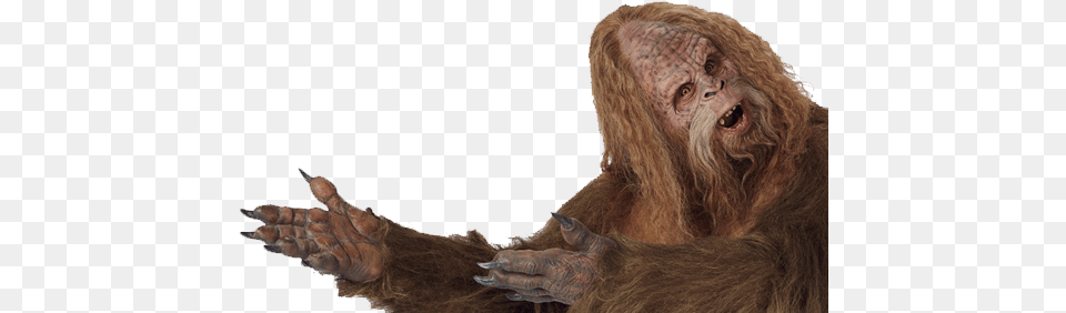 Horror, Animal, Mammal, Monkey, Wildlife Free Png