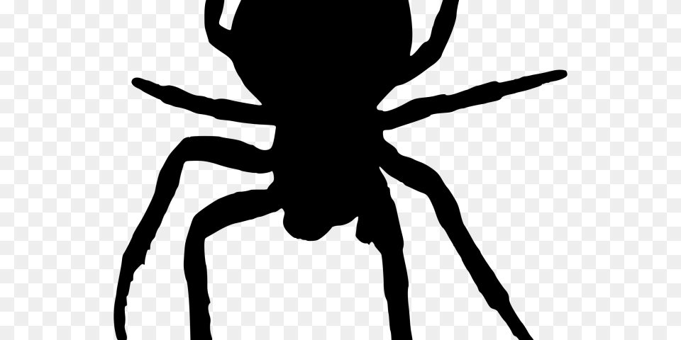 Horror Clipart Scary Spider Spider Silhouette, Gray Png
