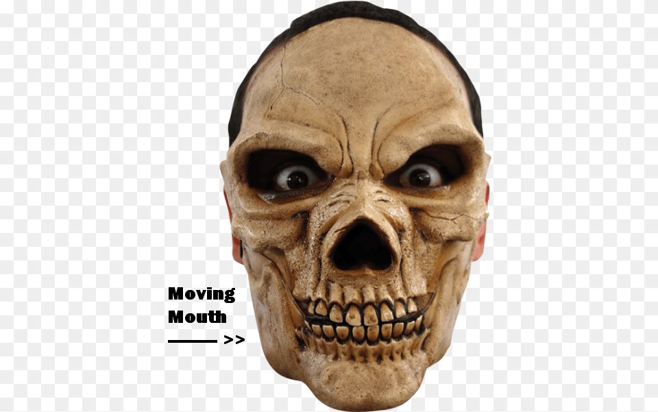 Horror Face Horror Skull Face, Adult, Male, Man, Person Free Png