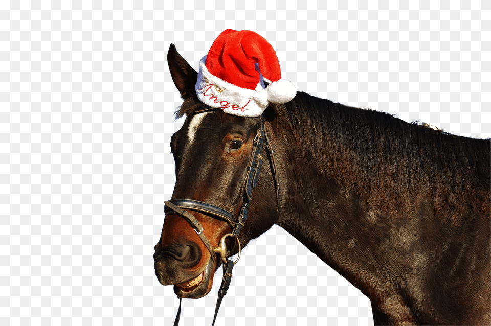 Horse Clip Free Png