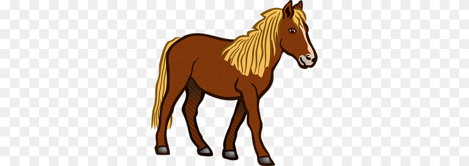 Horse Animal, Colt Horse, Mammal Png Image