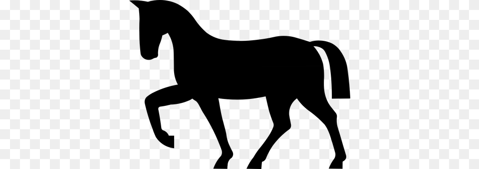 Horse Gray Free Png Download