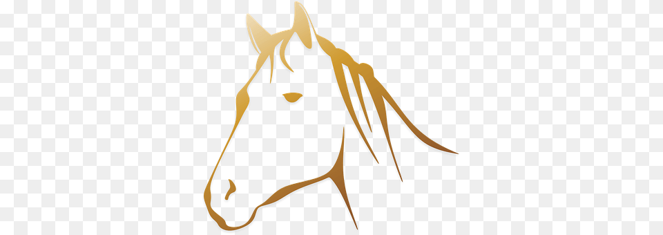 Horse Animal, Mammal Free Png