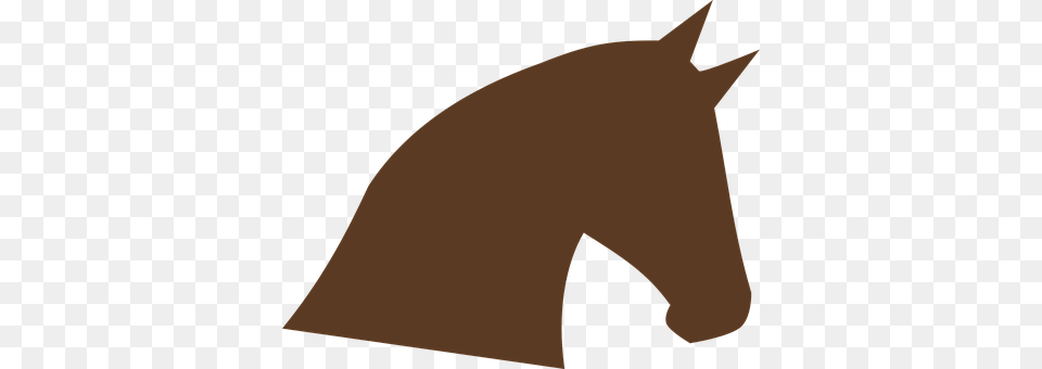 Horse Animal, Mammal Png Image