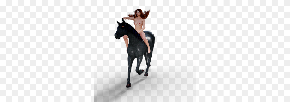 Horse Adult, Female, Person, Woman Png Image