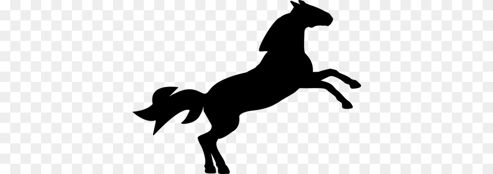 Horse Gray Png