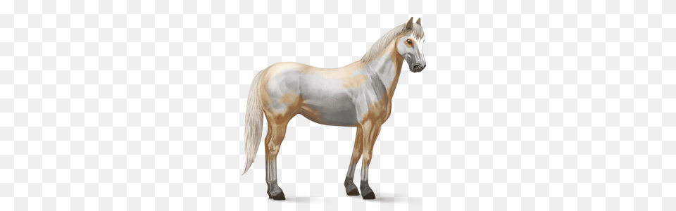 Horse, Animal, Mammal, Stallion Png