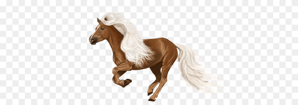Horse Animal, Mammal, Stallion, Colt Horse Free Transparent Png