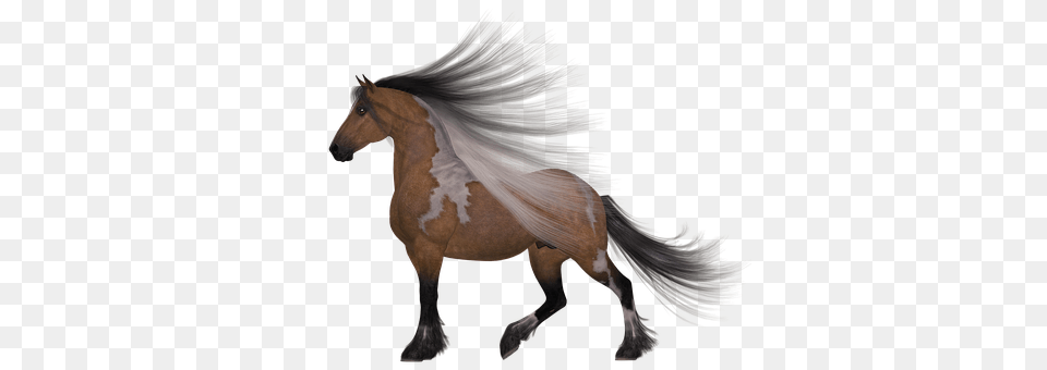 Horse Animal, Mammal, Stallion, Colt Horse Free Transparent Png