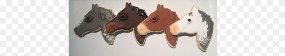 Horse, Animal, Colt Horse, Mammal Png