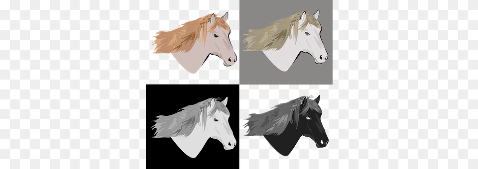 Horse Art, Drawing, Animal, Mammal Png