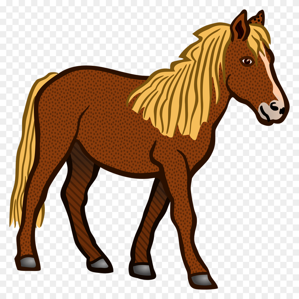 Horse, Animal, Colt Horse, Mammal, Wildlife Free Png