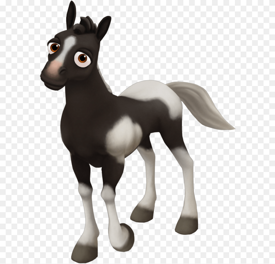 Horse, Animal, Colt Horse, Mammal Free Png