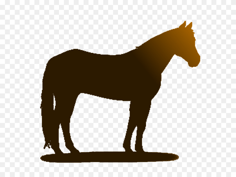 Horse Animal, Colt Horse, Mammal Free Transparent Png