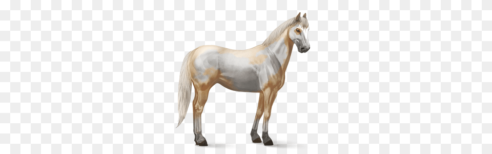 Horse, Animal, Mammal, Stallion Free Png