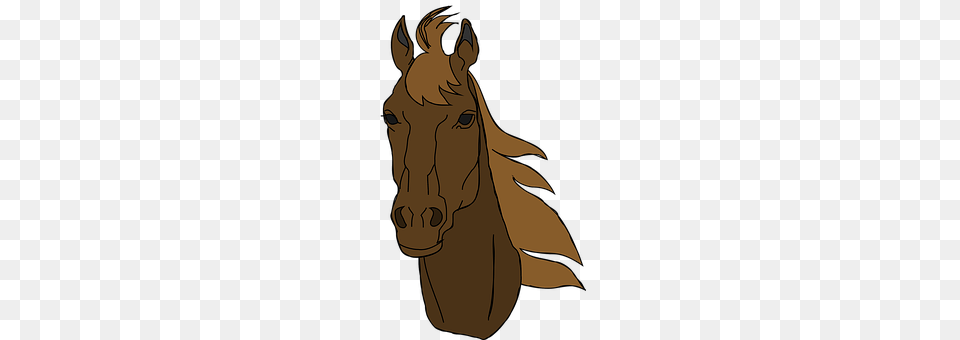 Horse Person, Animal, Colt Horse, Mammal Free Png Download