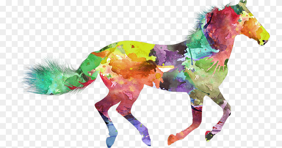 Horse, Animal, Mammal, Person Free Png Download