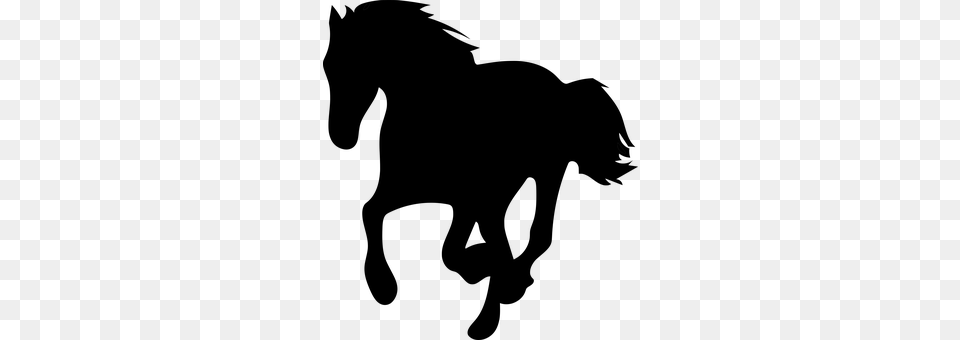 Horse Gray Free Png