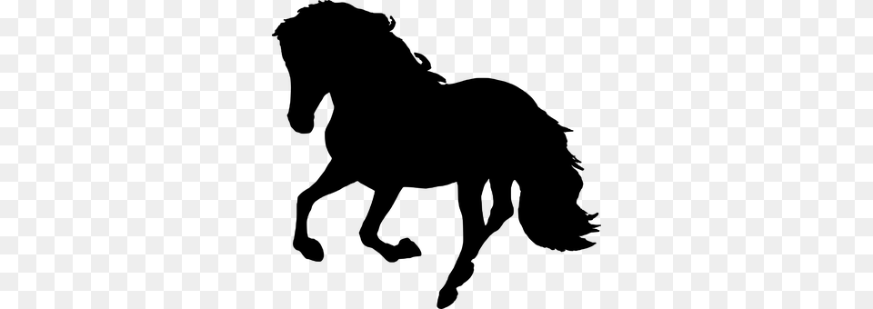 Horse Gray Png Image