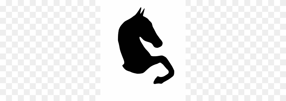 Horse Silhouette, Stencil, Animal, Kangaroo Png Image
