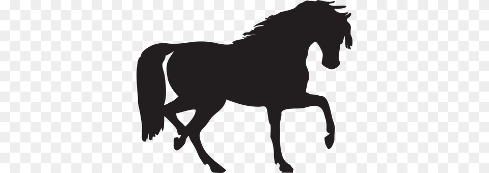 Horse Animal, Mammal, Colt Horse Free Png Download