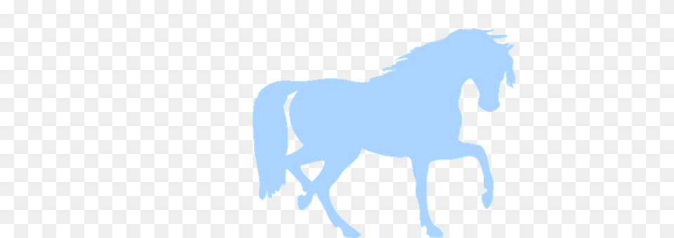 Horse Animal, Mammal, Person Png