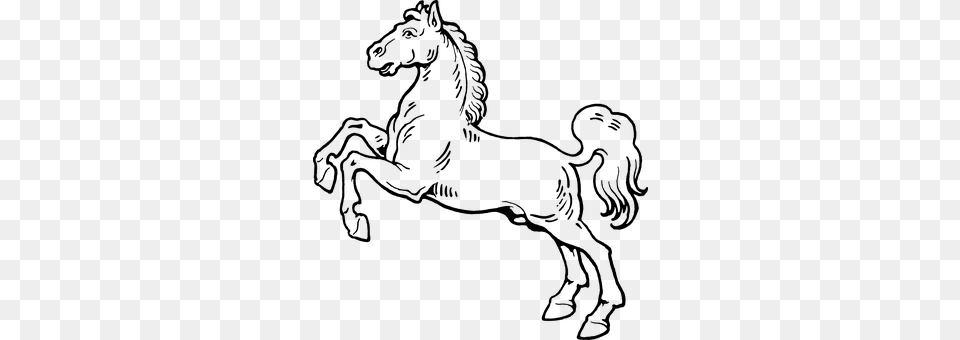 Horse Adult, Bride, Female, Person Free Transparent Png