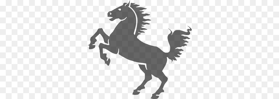 Horse Gray Free Transparent Png