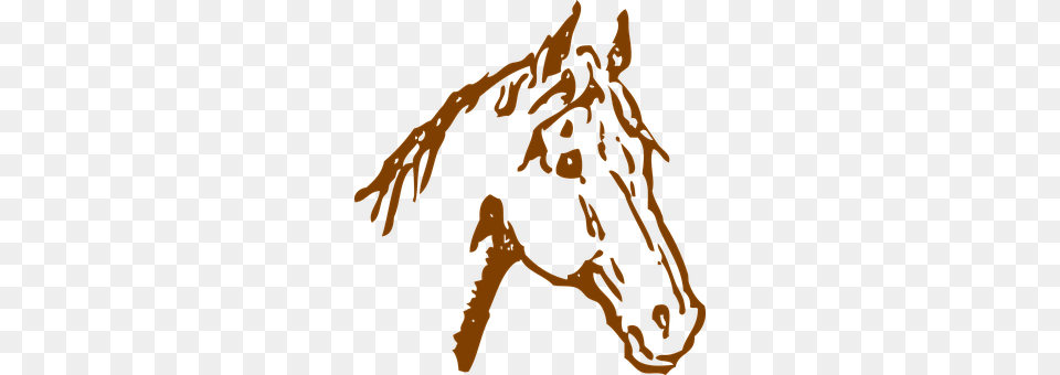 Horse Person, Animal, Mammal Free Png