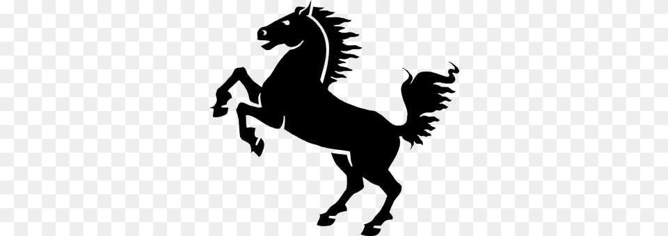 Horse Gray Png