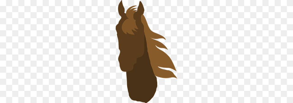Horse Person, Animal, Mammal Png