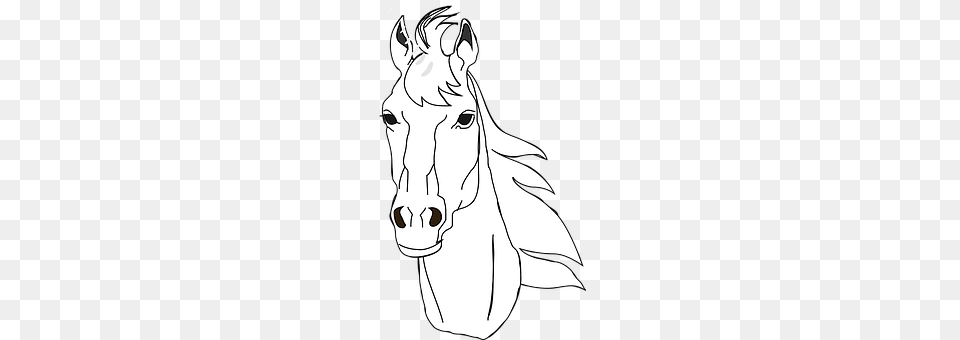 Horse Stencil, Adult, Person, Woman Png Image