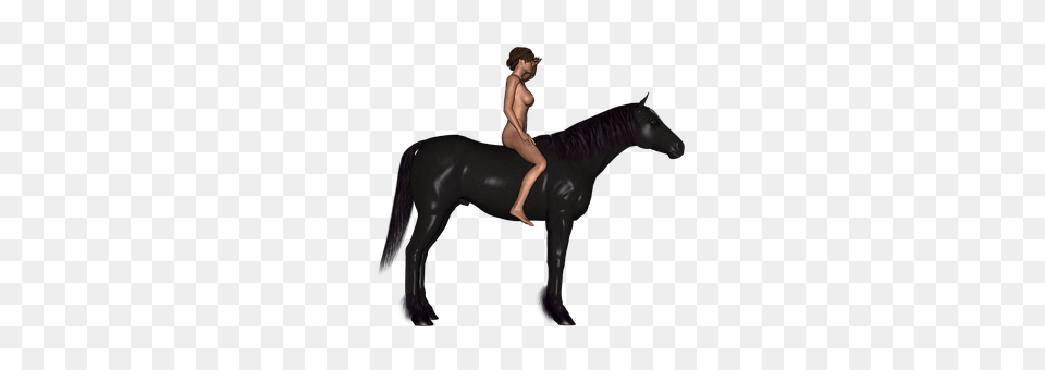 Horse Adult, Female, Person, Woman Png Image