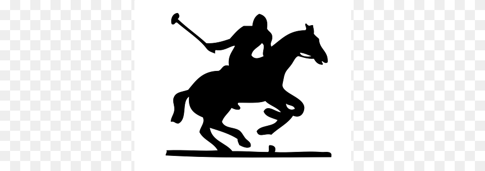 Horse Animal, Team, Sport, Polo Png Image